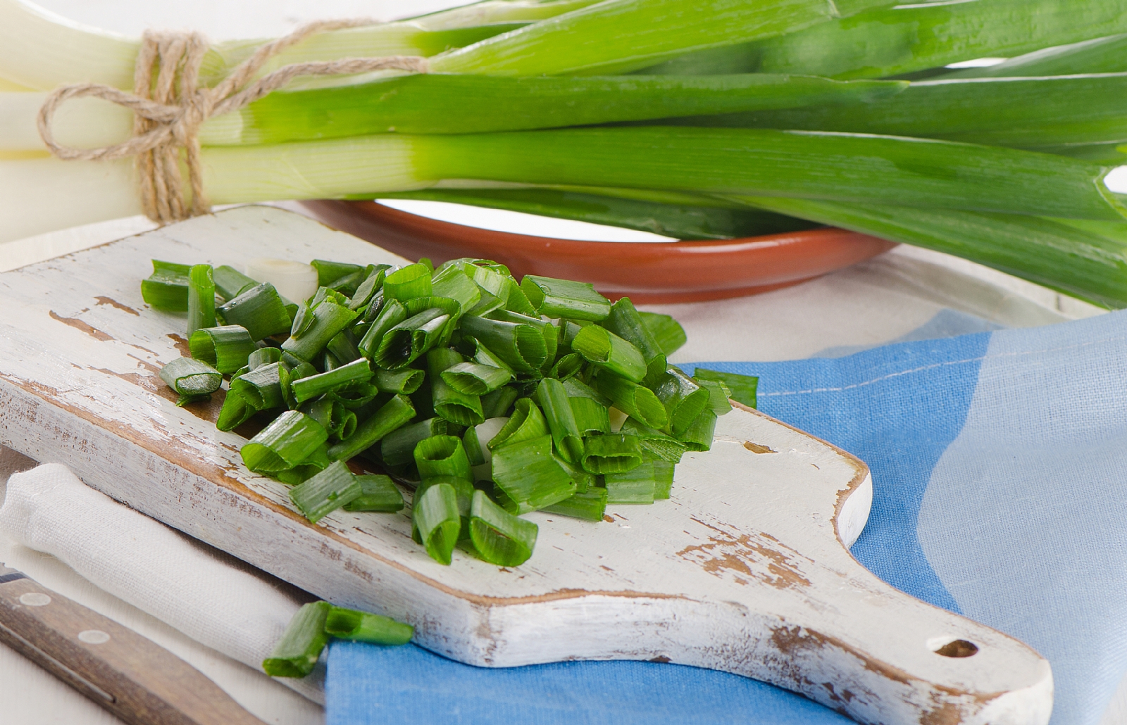 Read more about the article מצות, גבינות ובצל ירוק